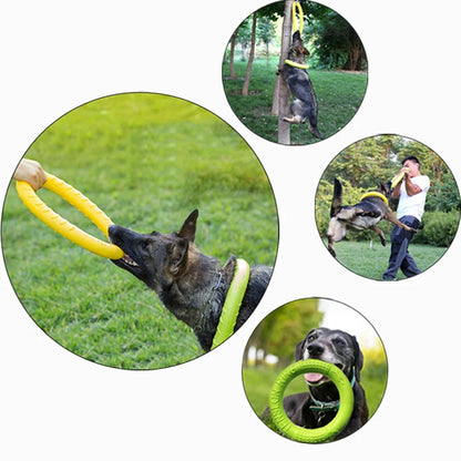 Dog Toy Flying Ring Trainer