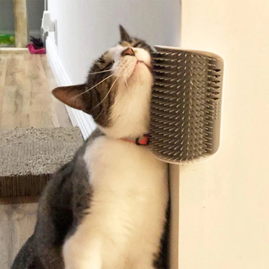 Brush Cat Toy