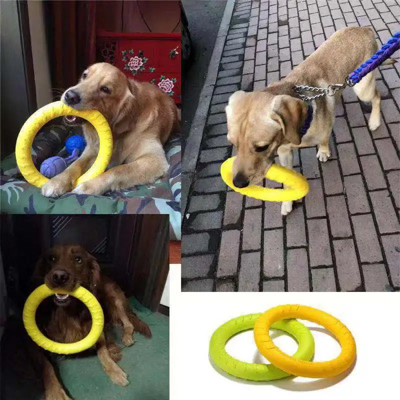 Dog Toy Flying Ring Trainer